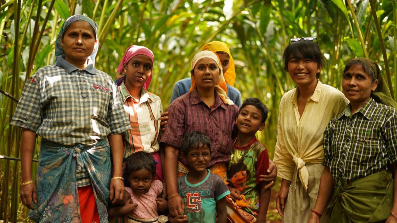 Spicetree Rajakumari Munnar Kültér fotó